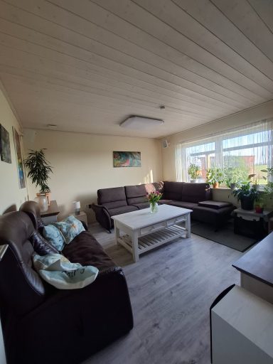 Gemütlicher Wohnraum mit braunen Sofas, Tisch und Pflanzen am Fenster.
