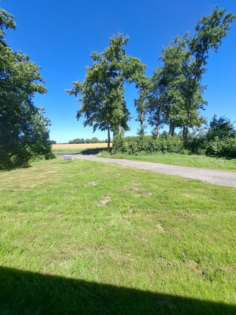 Grüne Wiese mit Bäumen und klarem blauen Himmel, Weg zur linken Seite.