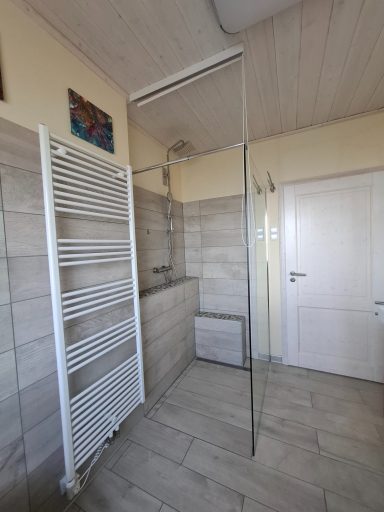 Moderne Badezimmeransicht mit Dusche, Handtuchheizkörper und weißer Tür.