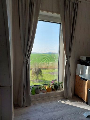 Heller Raum mit Fensterblick auf eine grüne Landschaft und Pflanzen auf der Fensterbank.